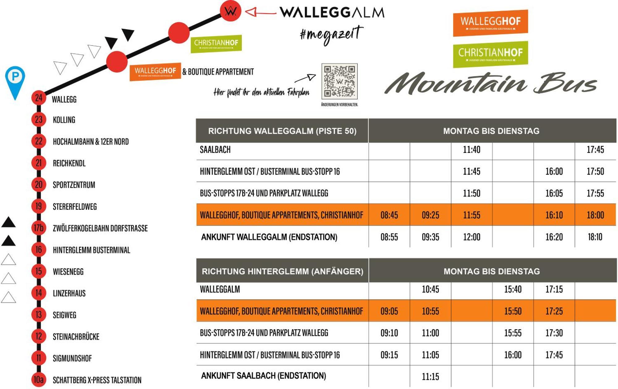 Ski In-Ski Out - Gaestehaeuser Saalbach-Hinterglemm - Wallegghof Christianhof Exterior foto